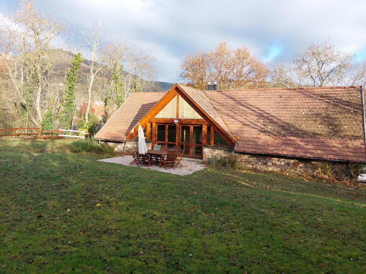 La Canopee Alsacienne - Magnifique Maison A Ribeauville Экстерьер фото