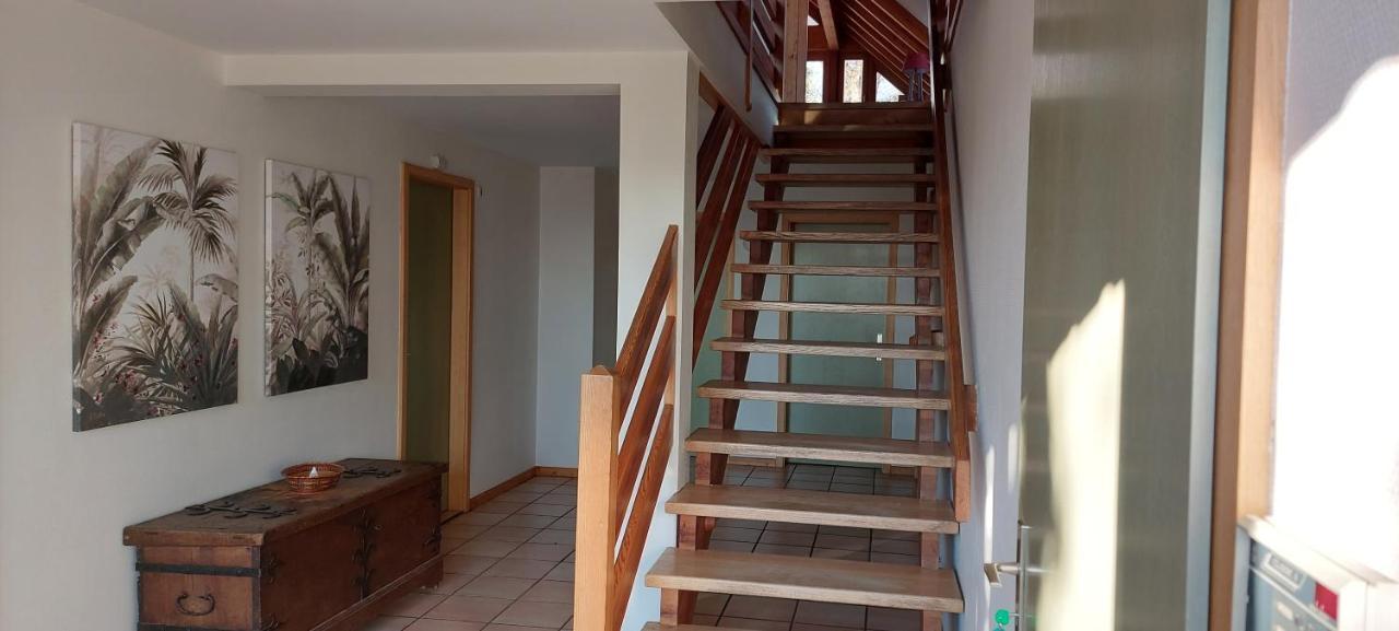 La Canopee Alsacienne - Magnifique Maison A Ribeauville Экстерьер фото